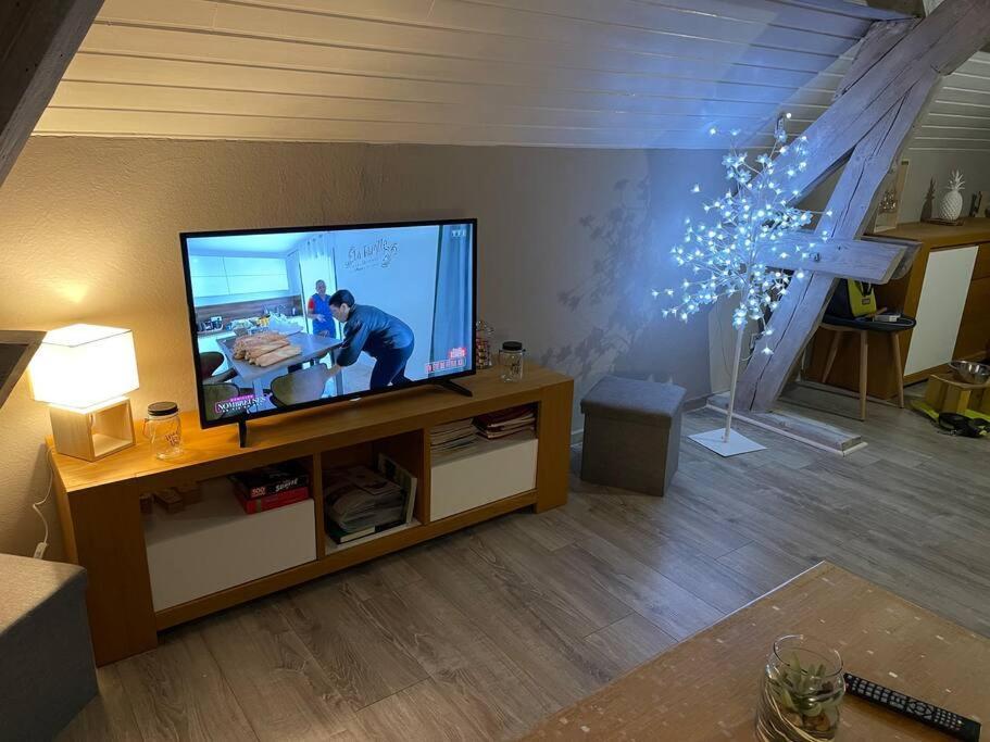 Appartement Loft Avec Jardin à Corcieux Extérieur photo