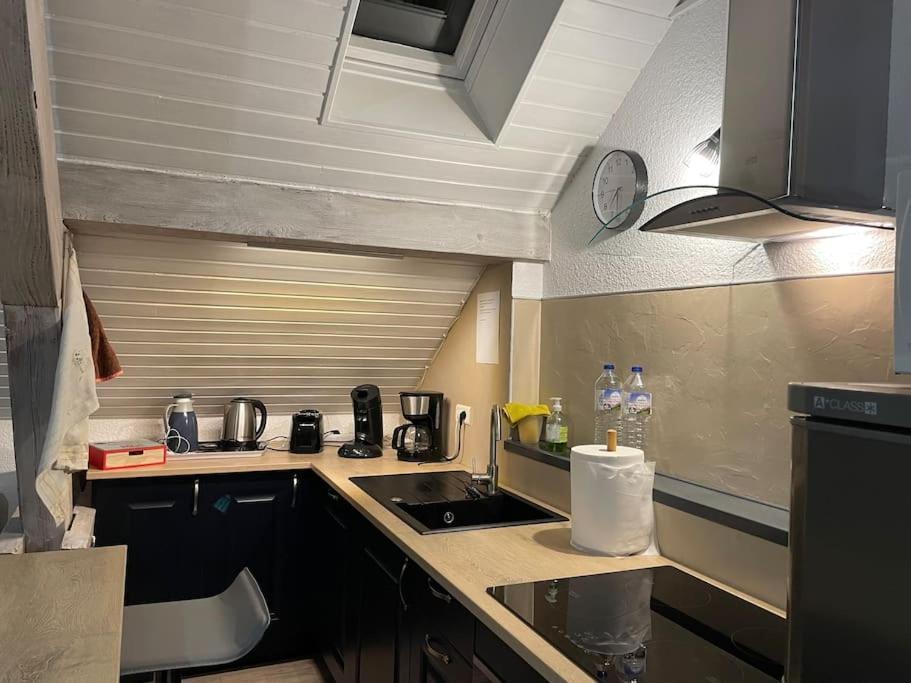 Appartement Loft Avec Jardin à Corcieux Extérieur photo